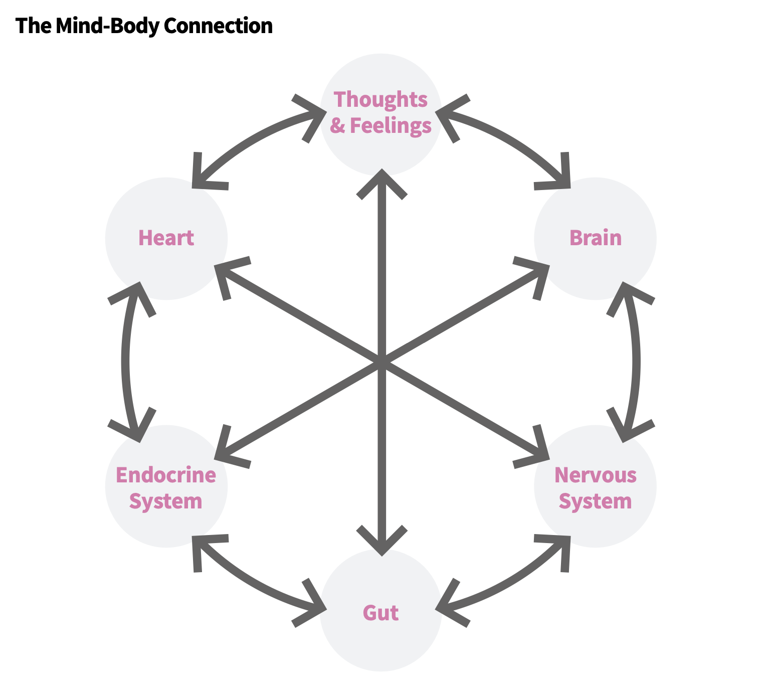 A basic model of the mind-body connection